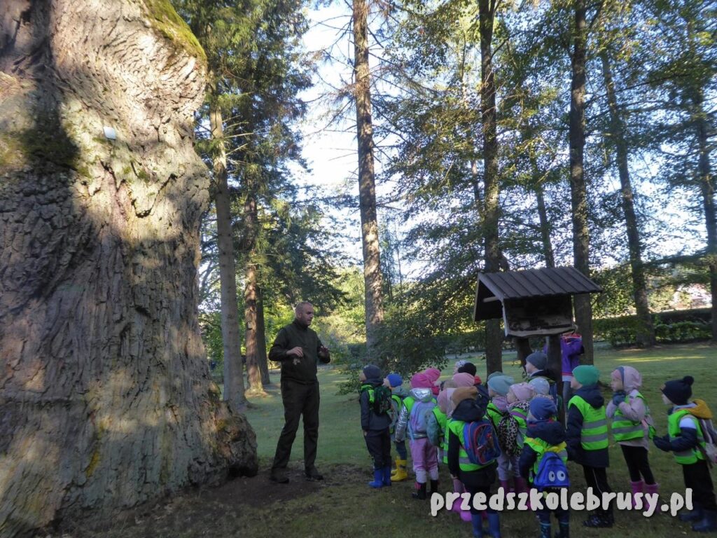 Przedszkole-Brusy-05-00003